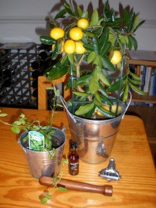 Mojito Making Kit